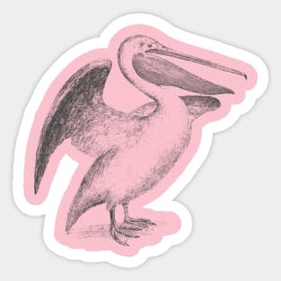 Pelican illustration Sticker